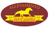 Allevamento del castello