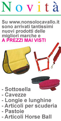Nuovi prodotti su www.nonsolocavallo.it