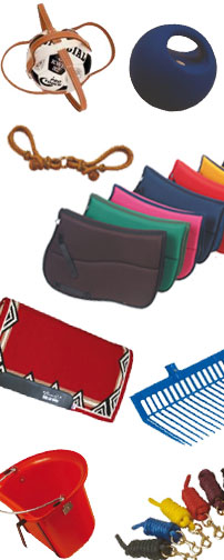 Nuovi prodotti su www.nonsolocavallo.it