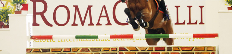 RomaCavalli - Salone Internazionale dell'Equitazione e dell'Ippica