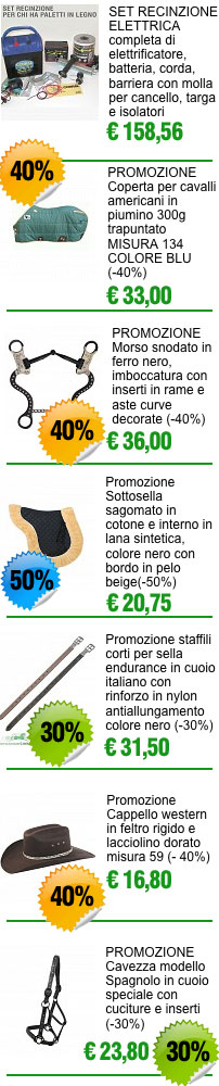 Promo E-shop