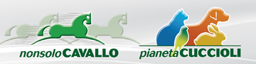 NonsoloCavallo - Pianeta Cuccioli