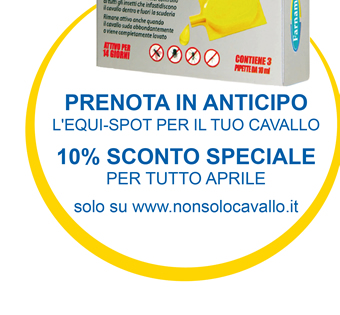 EQUI-SPOT insetticida spot-on per il controllo di tafani, mosche, moscerini e zanzare che infastidiscono il cavallo