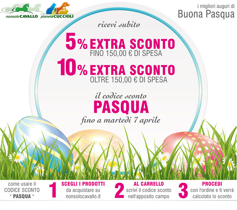 Codice sconto PASQUA fino a martedì 7 Aprile