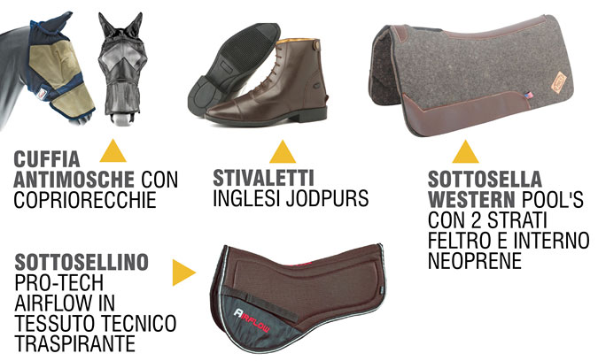 Umbria Equitazione - Novità