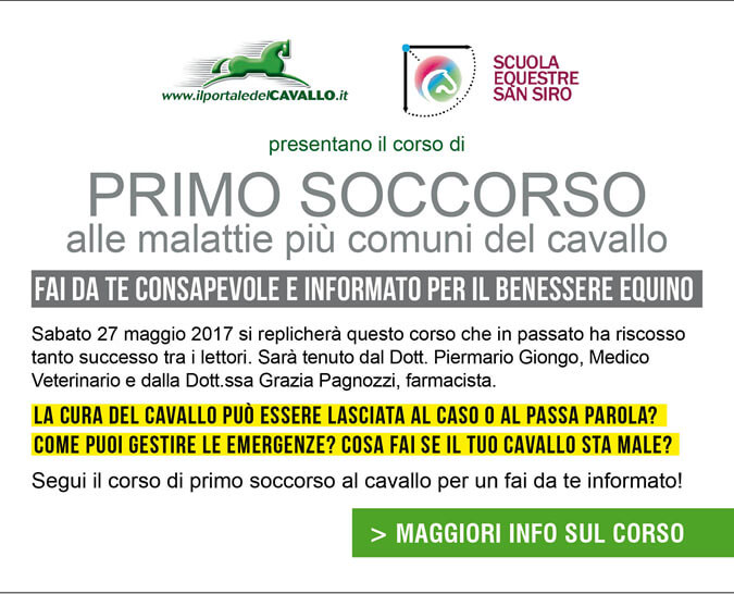 Corso di PRIMO SOCCORSO alle malattie più comuni del cavallo - Fai da te consapevole e informato per il benessere equino