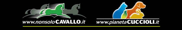 NonsoloCavallo - Pianeta Cuccioli