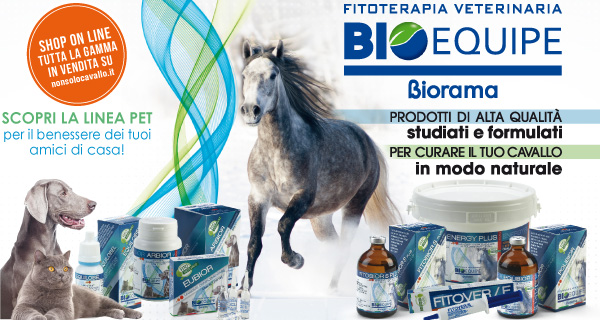 Biorama - Bioequipe