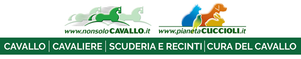 NonsoloCavallo - Pianeta Cuccioli