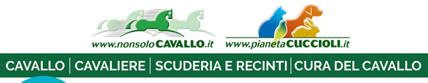 NonsoloCavallo - Pianeta Cuccioli