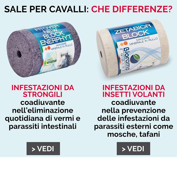 Sale per cavalli: che differenze?