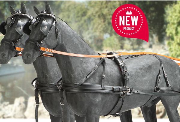 Nuovi finimenti attacchi