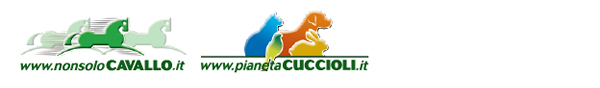 NonsoloCavallo - Pianeta Cuccioli