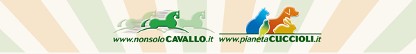 NonsoloCavallo - Pianeta Cuccioli