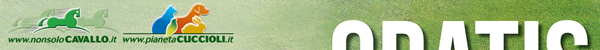 NonsoloCavallo - Pianeta Cuccioli