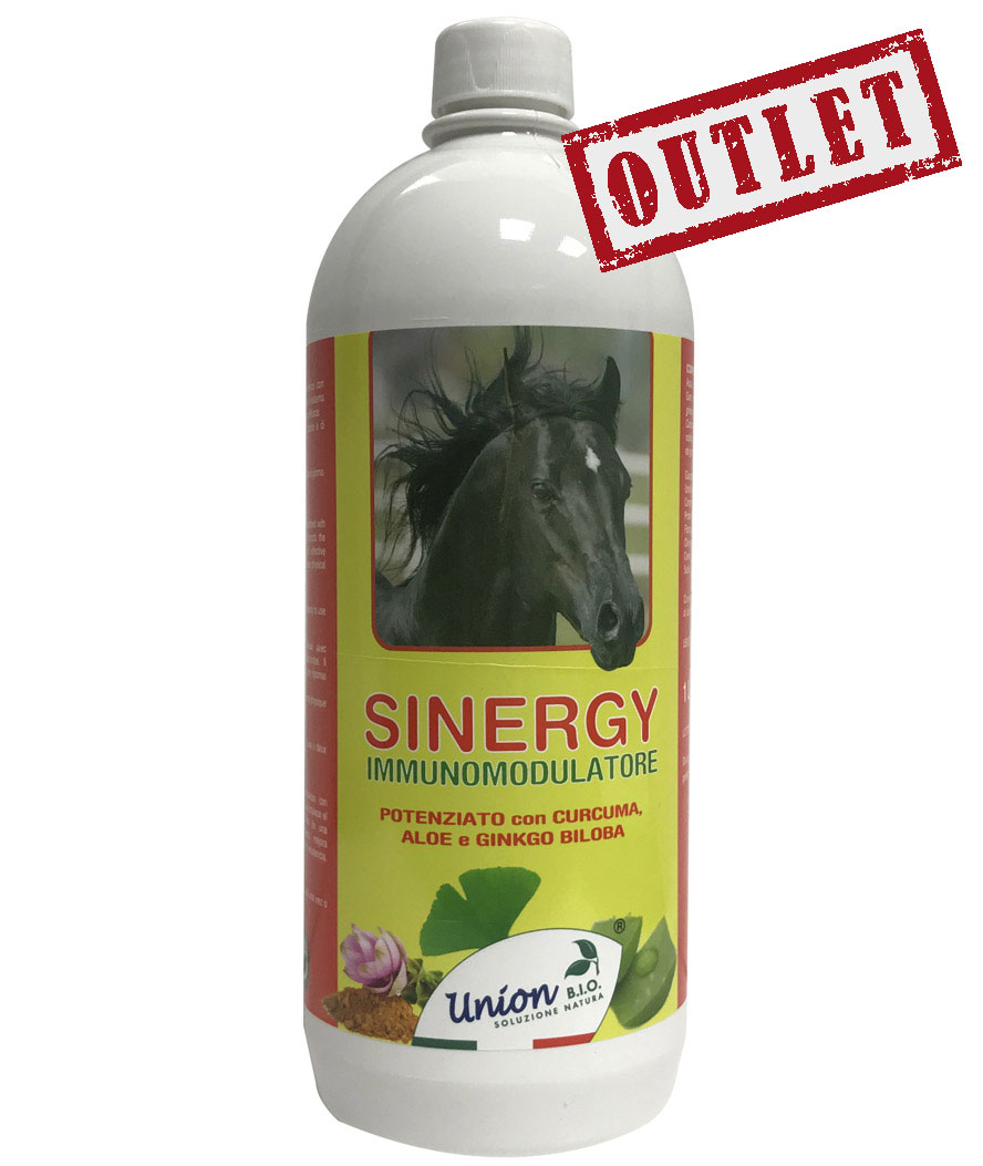 sinergy