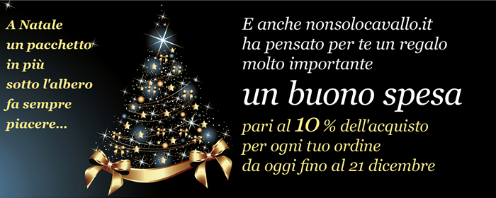 A Natale un pacchetto in più sotto l'albero fa sempre piacere...