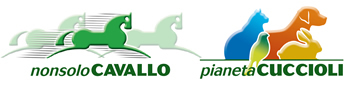 NonsoloCavallo - Pianeta Cuccioli