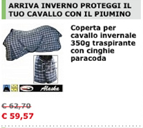 Coperta per cavallo invernale 350g traspirante con cinghie paracoda