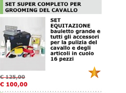 SET EQUITAZIONE bauletto grande e tutti gli accessori per la pulizia del cavallo e degli articoli in cuoio 16 pezzi