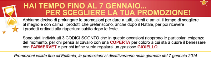 Hai tempo fino al 7 Gennaio... per scegliere la tua promozione!