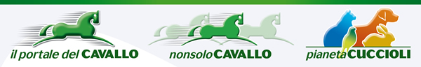 Il Portale del Cavallo - NonsoloCavallo - Pianeta Cuccioli