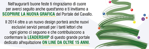 Ti auguriamo buone feste