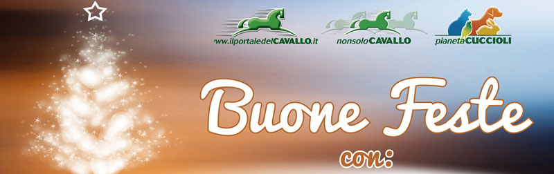 Buone feste con: