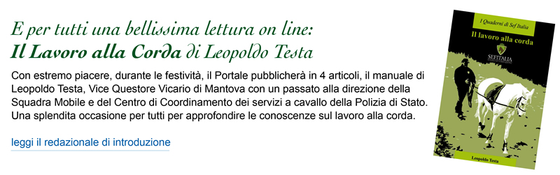 E per tutti una bellissima lettura online: Il Lavoro alla Corda di Leopoldo Testa