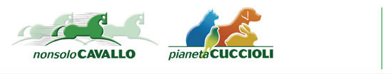 NonsoloCavallo - Pianeta Cuccioli