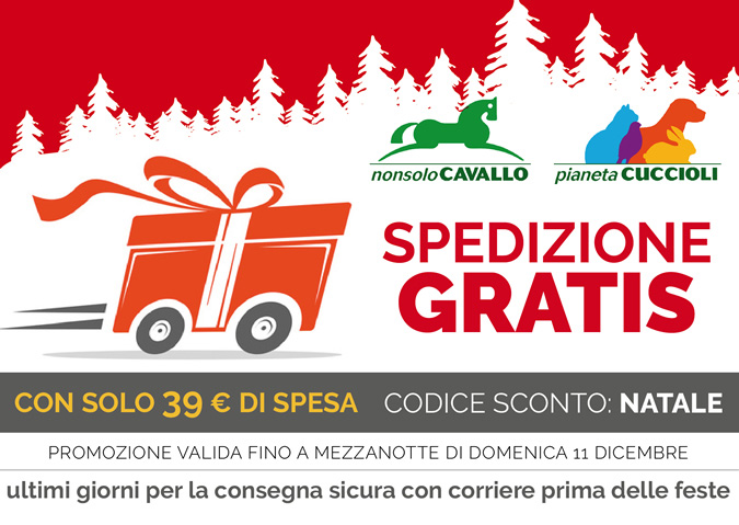 SPEDIZIONE GRATIS CON SOLO € 39 DI SPESA