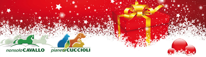 Per festeggiare insieme le feste e il nuovo sito responsive abbiamo pensato di farti un regalo a ogni tuo ordine