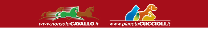 NonsoloCavallo - Pianeta Cuccioli