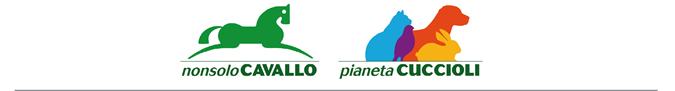NonsoloCavallo - Pianeta Cuccioli