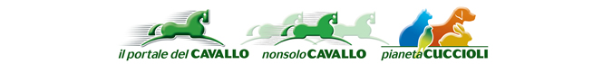 Il Portale del Cavallo - NonsoloCavallo - Pianeta Cuccioli