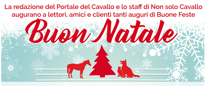 La redazione del Portale del Cavallo e lo staff di NonsoloCavallo augurano a lettori, amici e clienti tanti auguri di Buone Feste