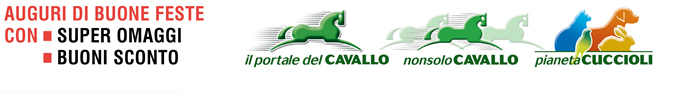Auguri di Buone Feste con super omaggi e buoni sconto