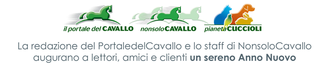 La Redazione del Portale del Cavallo e lo staff di NonsoloCavallo augurano a lettori, amici e clienti un sereno Anno Nuovo