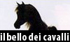 Il Bello dei Cavalli