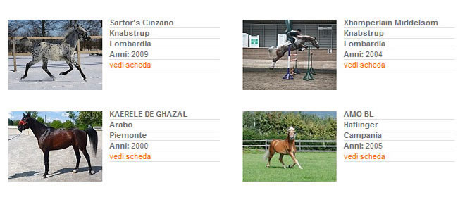 Stalloni - Stagione di monta 2013