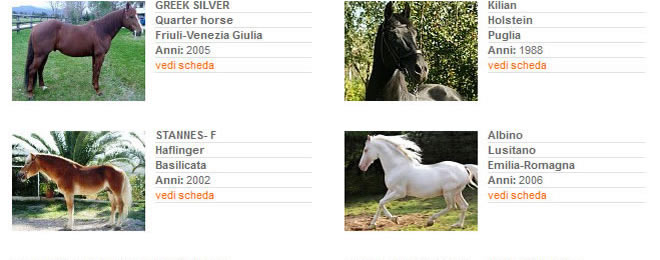 Stalloni - Stagione di monta 2013