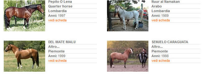 Stalloni - Stagione di monta 2013