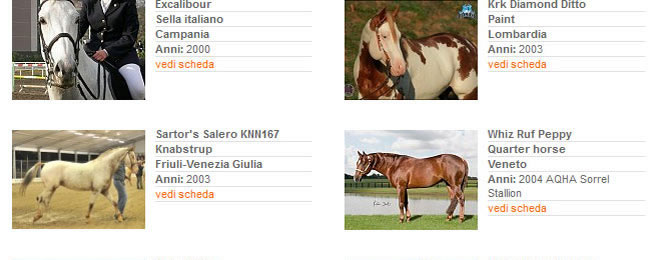 Stalloni - Stagione di monta 2013