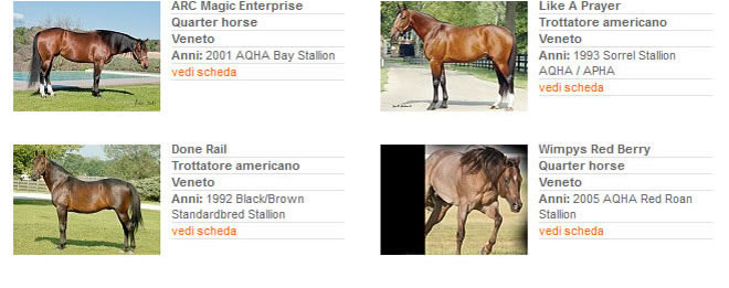 Stalloni - Stagione di monta 2013