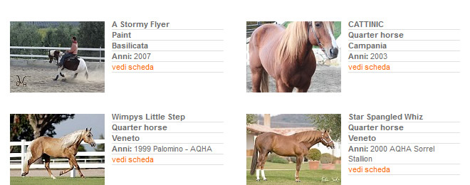 Stalloni - Stagione di monta 2013