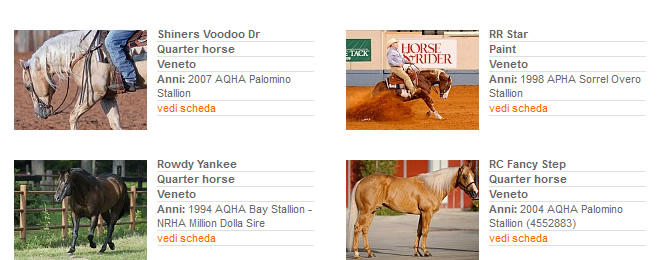 Stalloni - Stagione di monta 2013