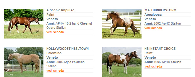 Stalloni - Stagione di monta 2013