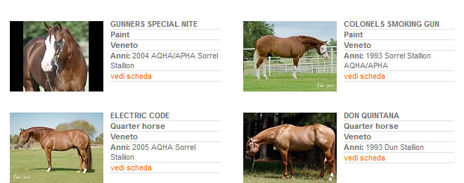 Stalloni - Stagione di monta 2013