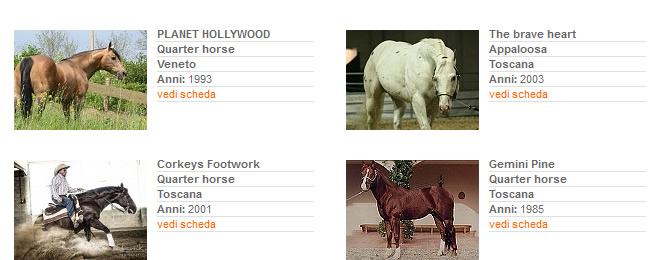 Stalloni - Stagione di monta 2013