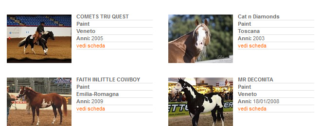 Stalloni - Stagione di monta 2013